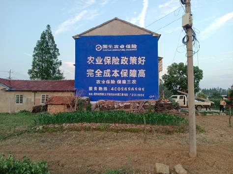 商水墙体广告为何受追捧？